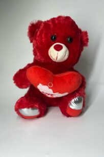 Red Teddybear (LOVE)